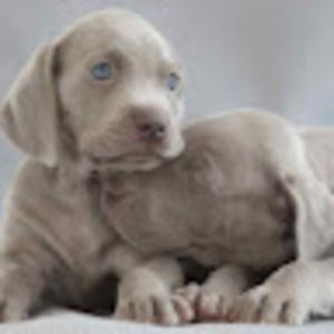 Meet your Posher, Kylene